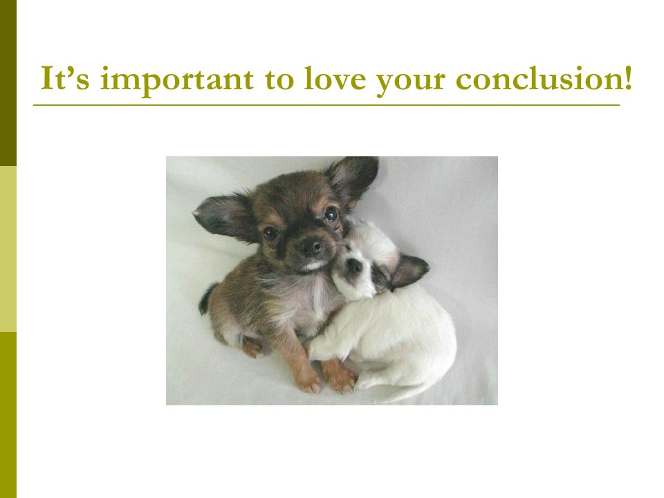 It’s important to love your conclusion!