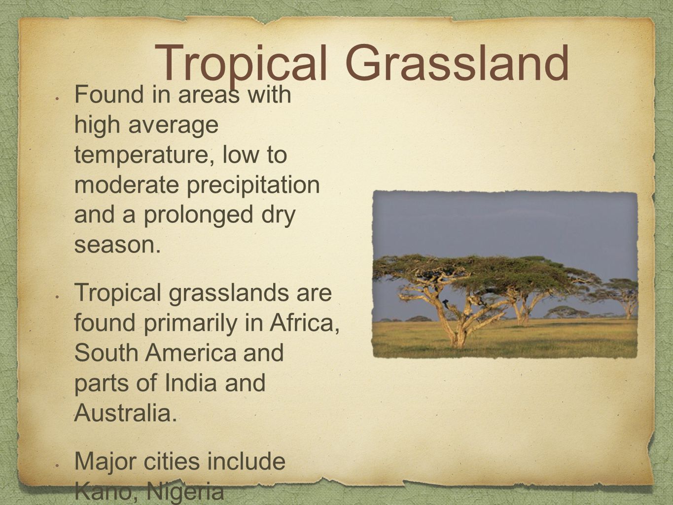 tropical grasslands in india