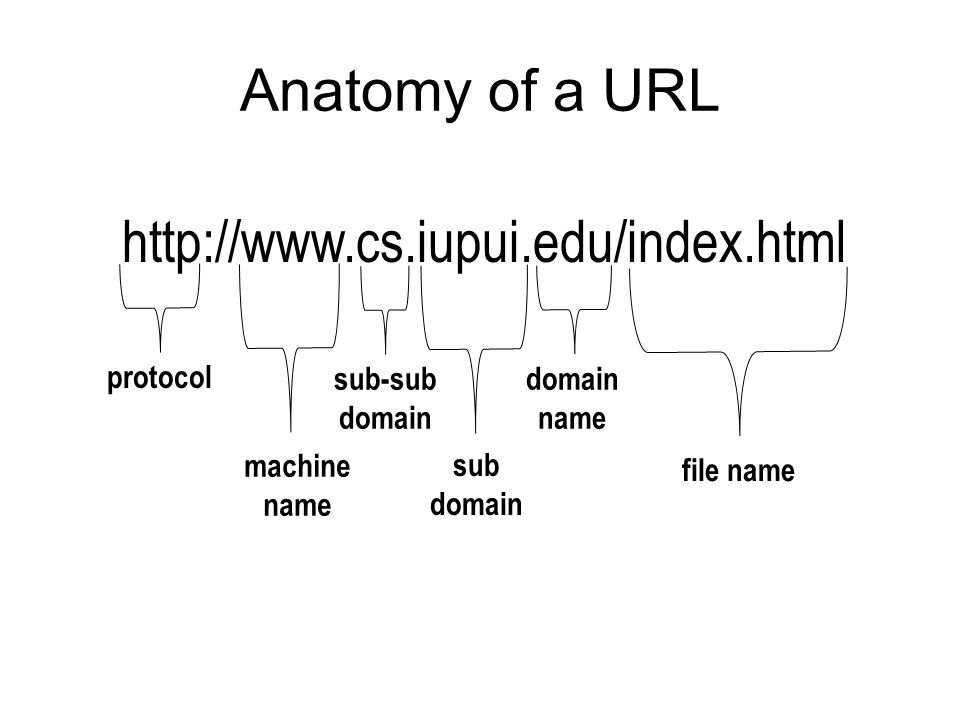 Anatomy of a URL   file name