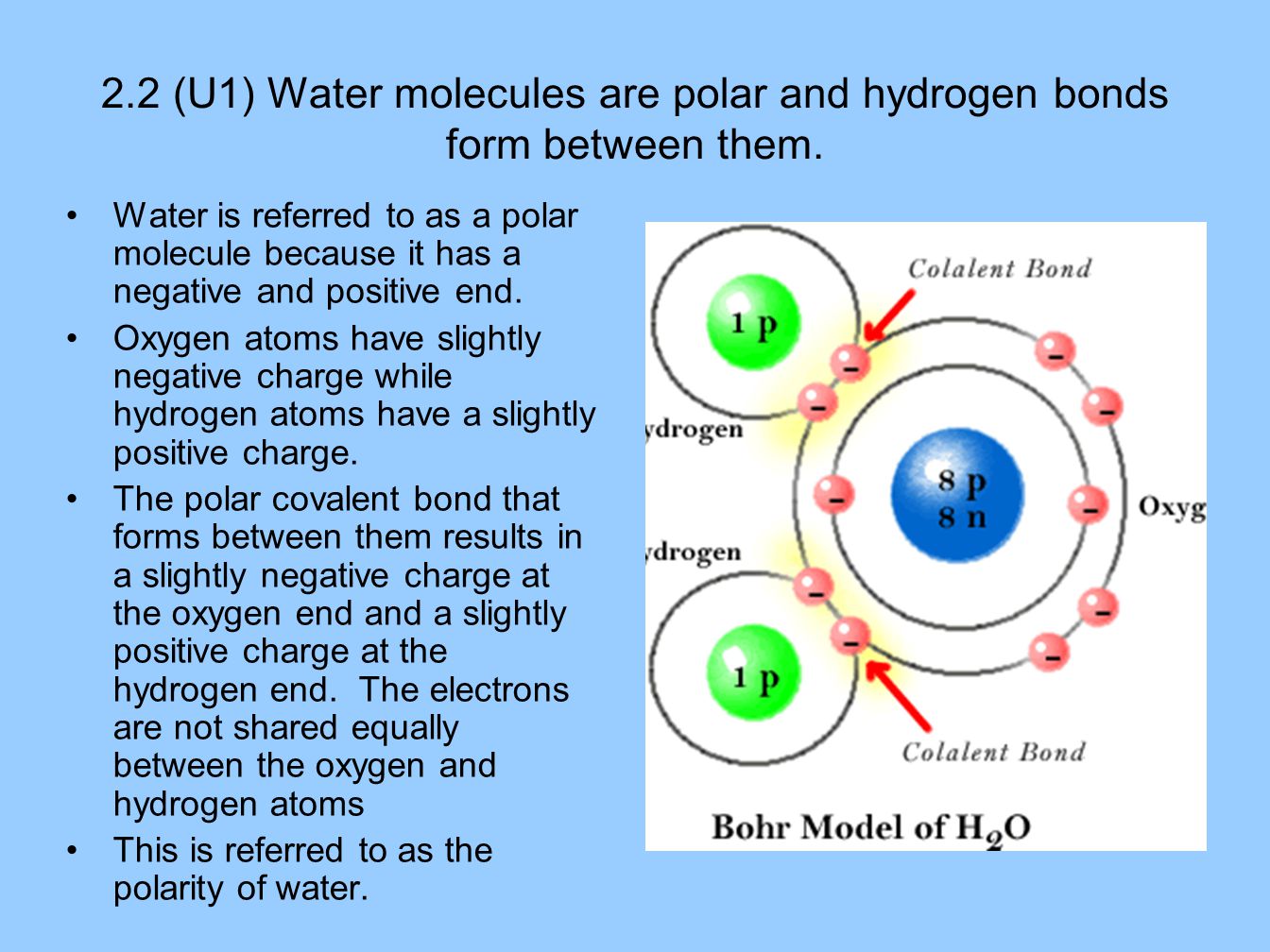 2.2 (U1) Water molecules are polar and hydrogen bonds form between them. 