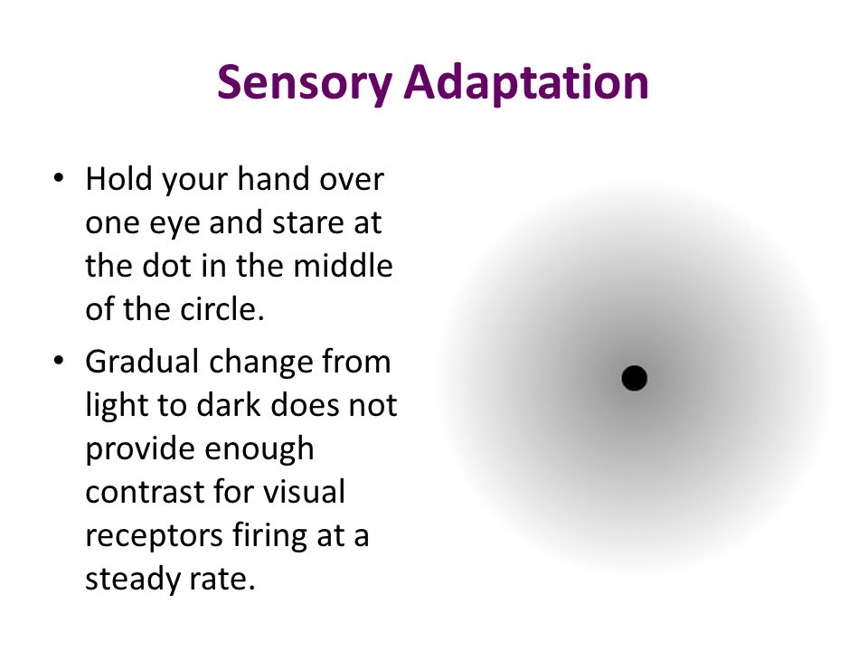 sensory adaptation example