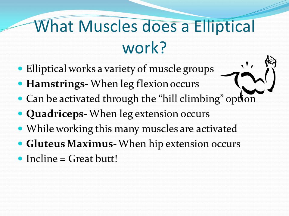 What Muscles does a Elliptical work
