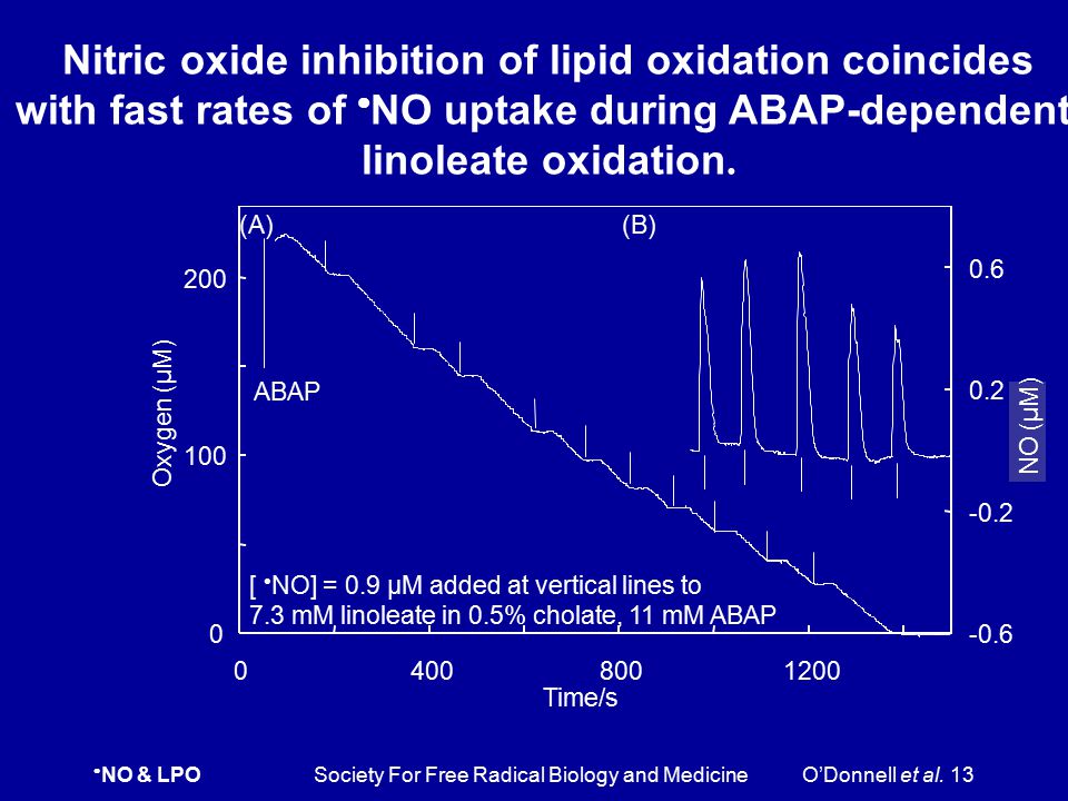 Nitric oxide inhibition of lipid oxidation coincides