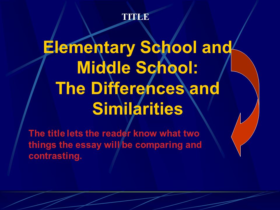 sample compare contrast essay middle school