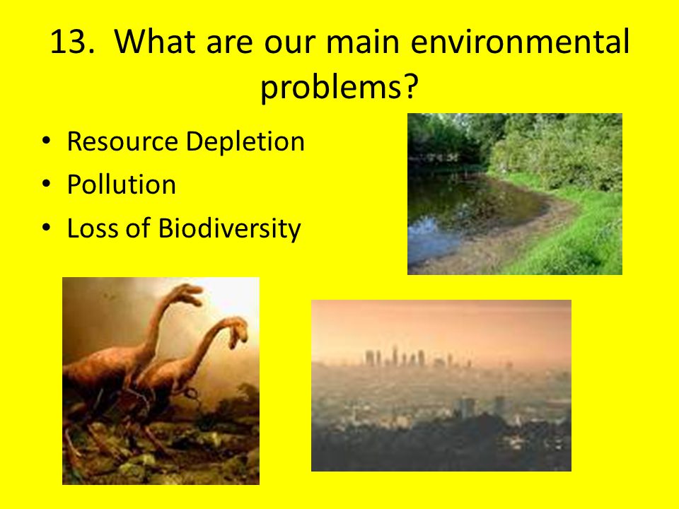 13. What are our main environmental problems
