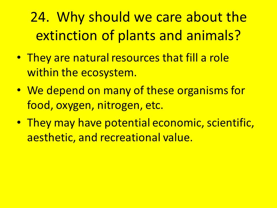 24. Why should we care about the extinction of plants and animals