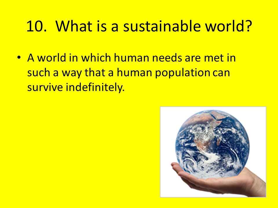10. What is a sustainable world