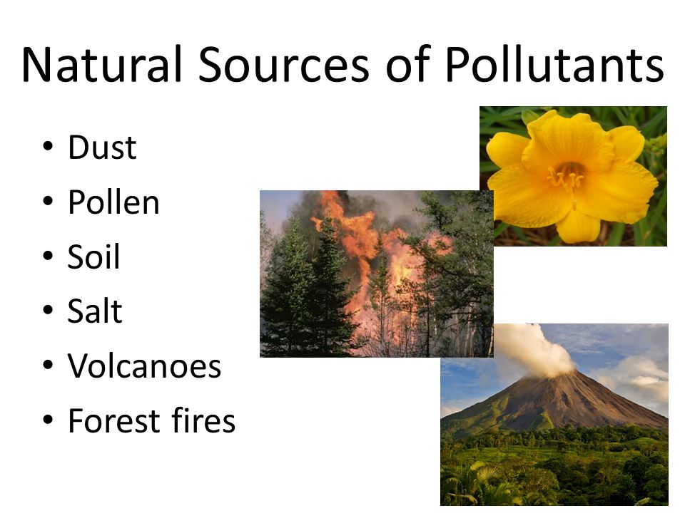 Natural Sources of Pollutants