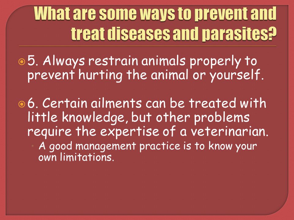 What are some ways to prevent and treat diseases and parasites