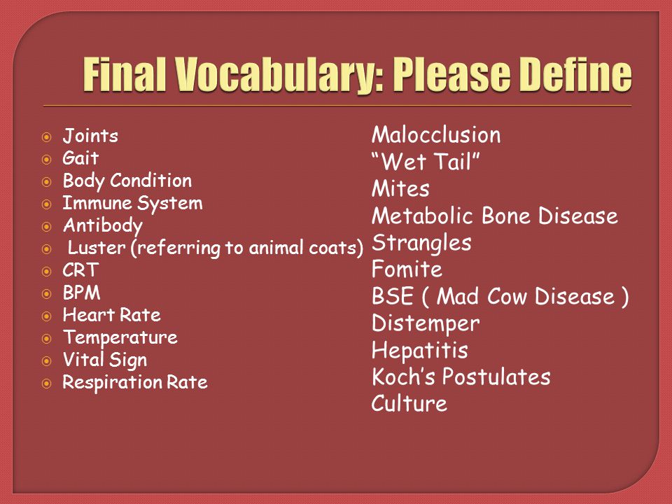 Final Vocabulary: Please Define
