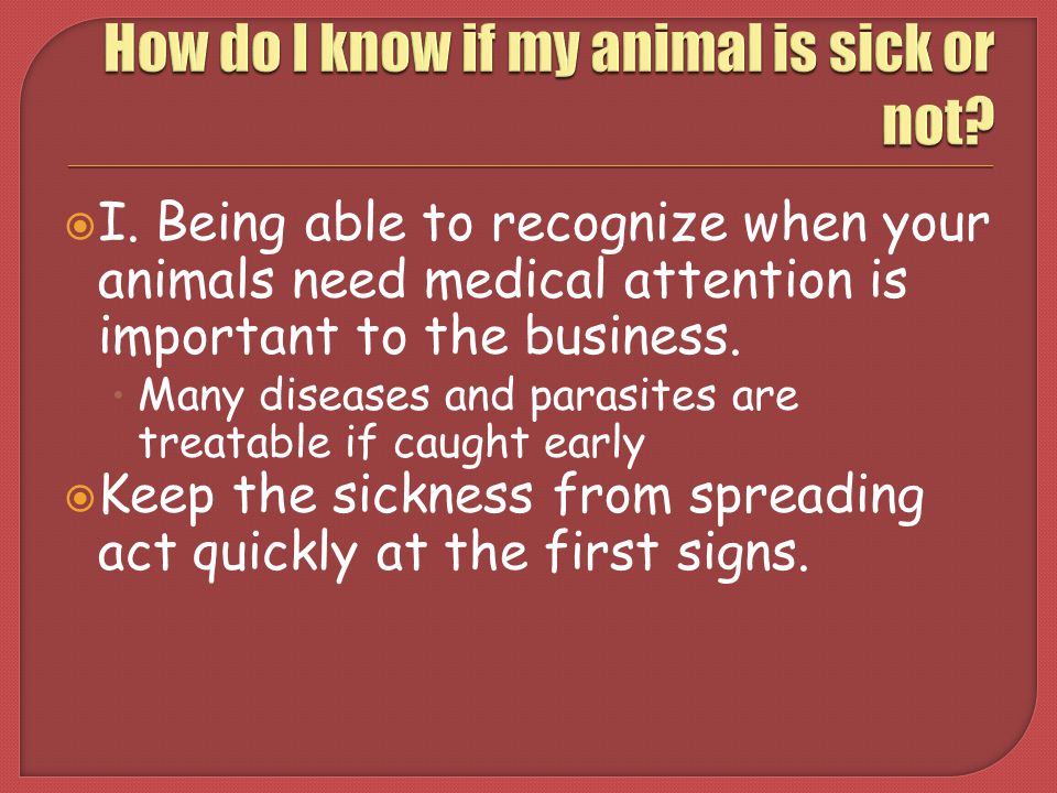 How do I know if my animal is sick or not