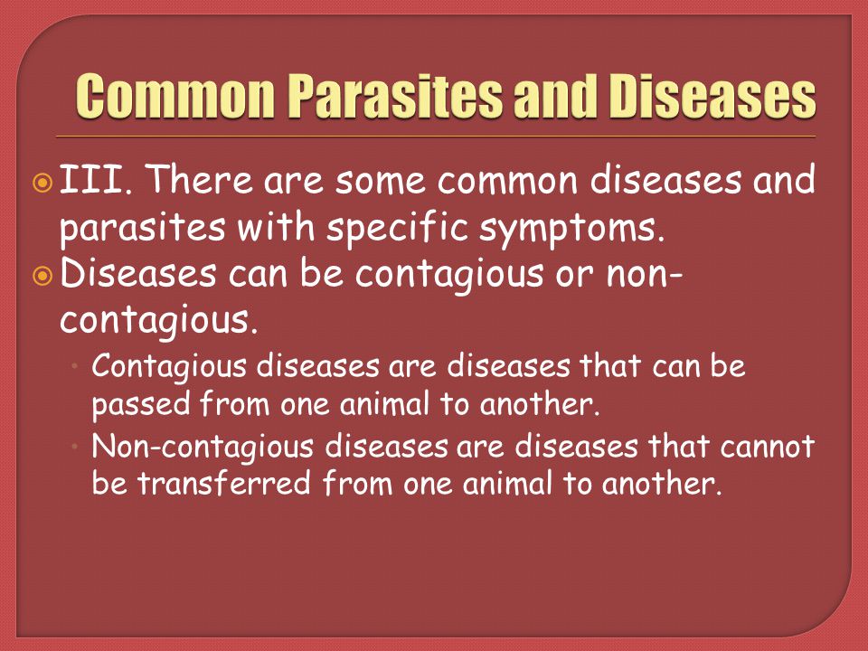 Common Parasites and Diseases