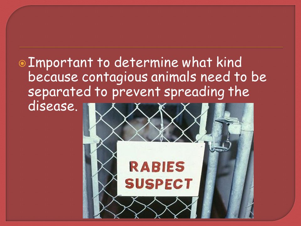 Important to determine what kind because contagious animals need to be separated to prevent spreading the disease.