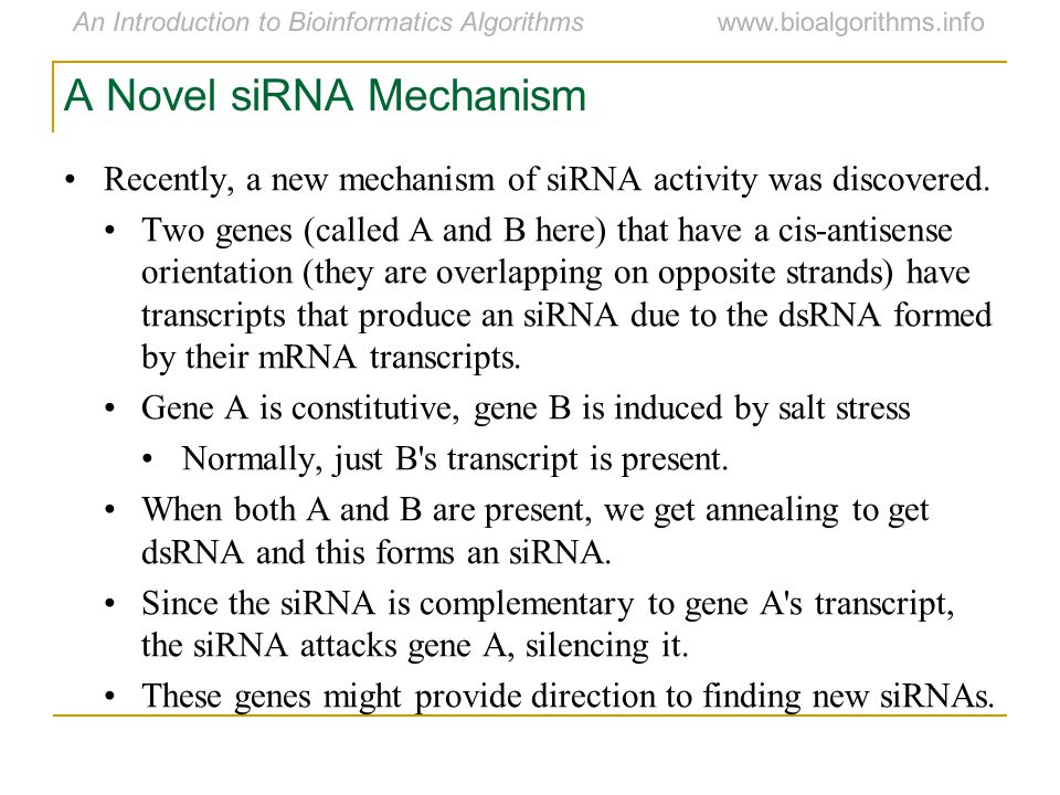 A Novel siRNA Mechanism