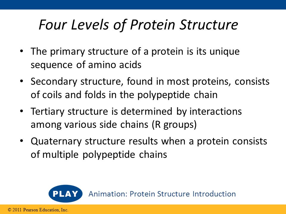 Proteins account for more than 50% of the dry mass of most cells - ppt  download