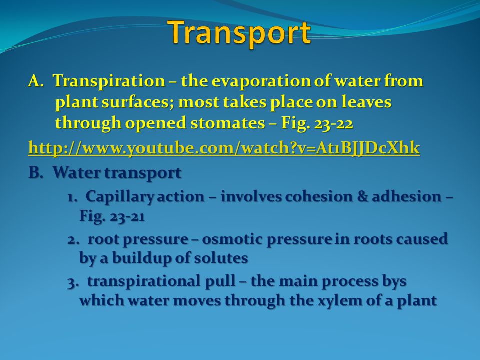 Transport A. Transpiration – the evaporation of water from plant surfaces; most takes place on leaves through opened stomates – Fig