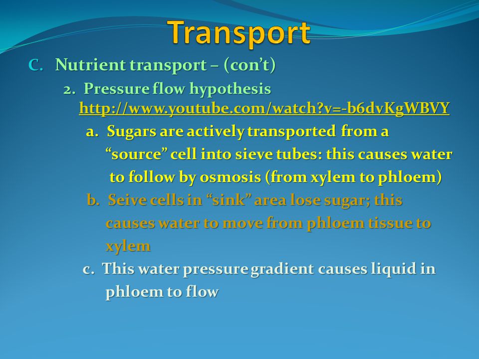 Transport Nutrient transport – (con’t)