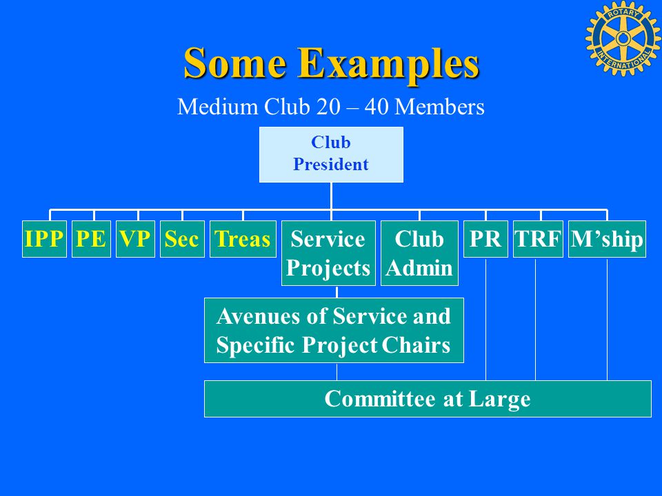 Avenues of Service and Specific Project Chairs