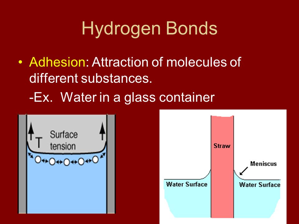 Hydrogen Bonds Adhesion: Attraction of molecules of different substances.