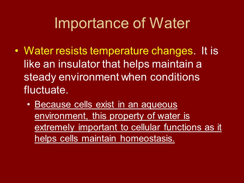Importance of Water Water resists temperature changes. It is like an insulator that helps maintain a steady environment when conditions fluctuate.