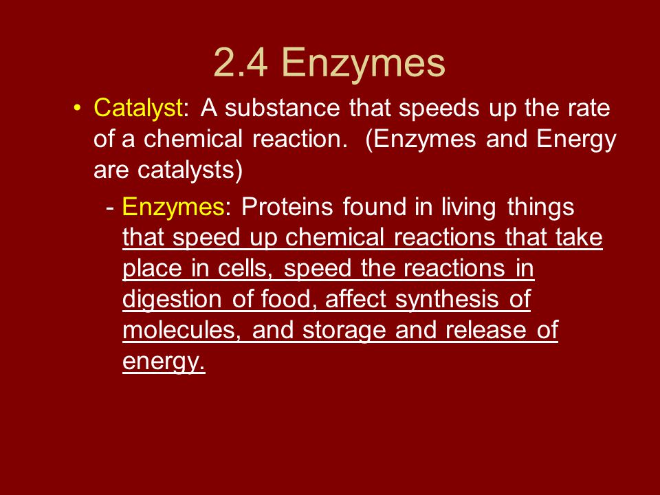 2.4 Enzymes Catalyst: A substance that speeds up the rate of a chemical reaction. (Enzymes and Energy are catalysts)