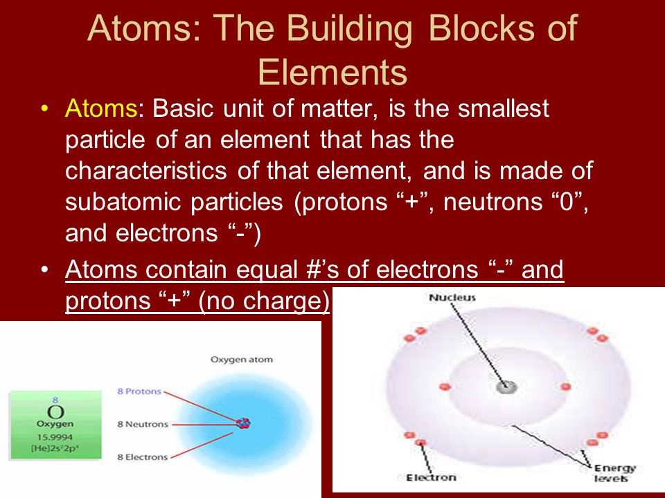 Atoms: The Building Blocks of Elements