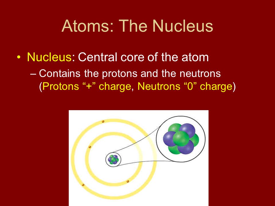 Atoms: The Nucleus Nucleus: Central core of the atom