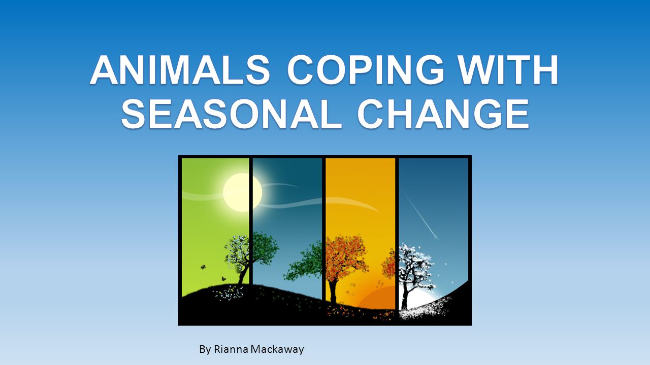 ANIMALS COPING WITH SEASONAL CHANGE