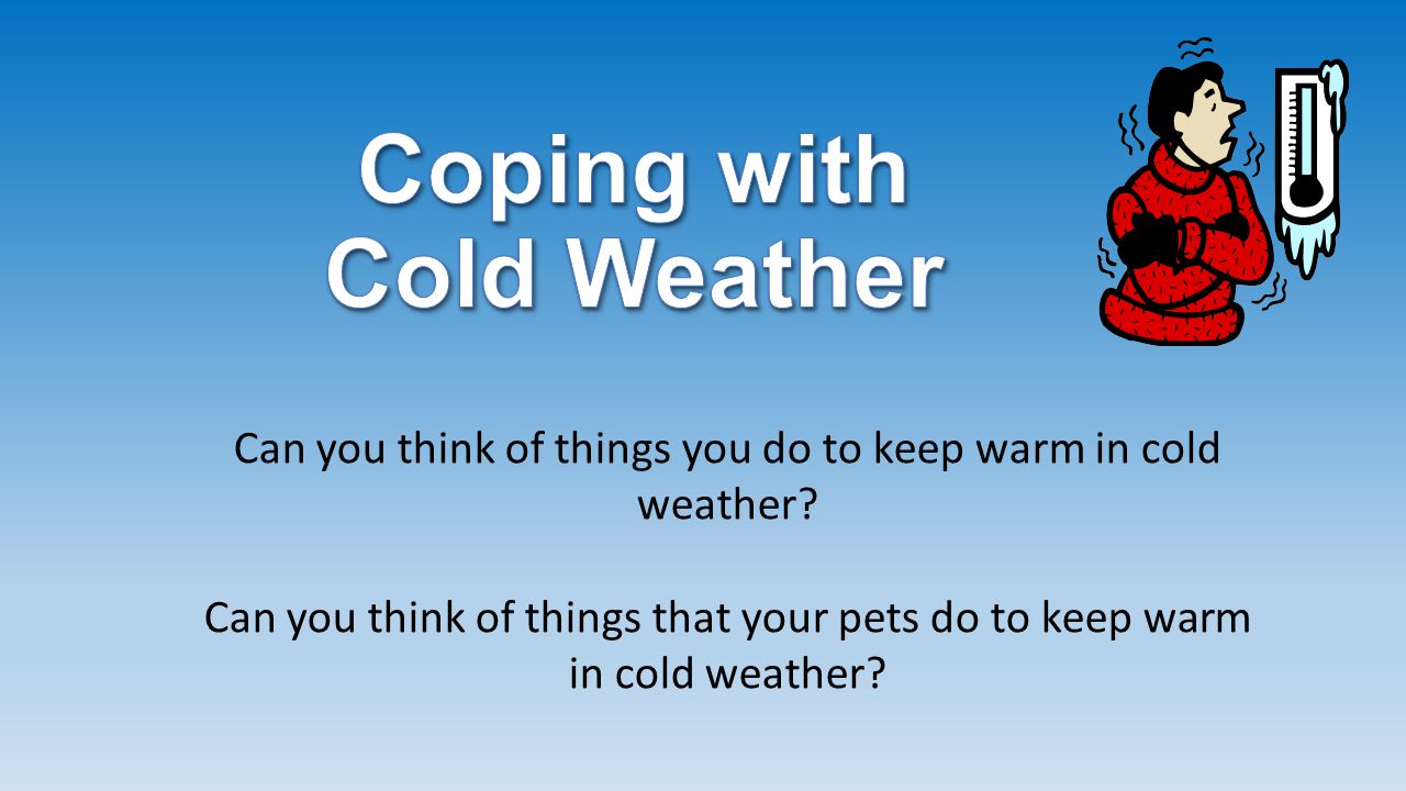 Coping with Cold Weather