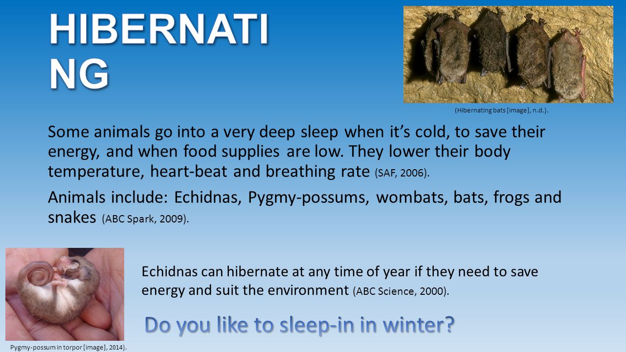 Do you like to sleep-in in winter