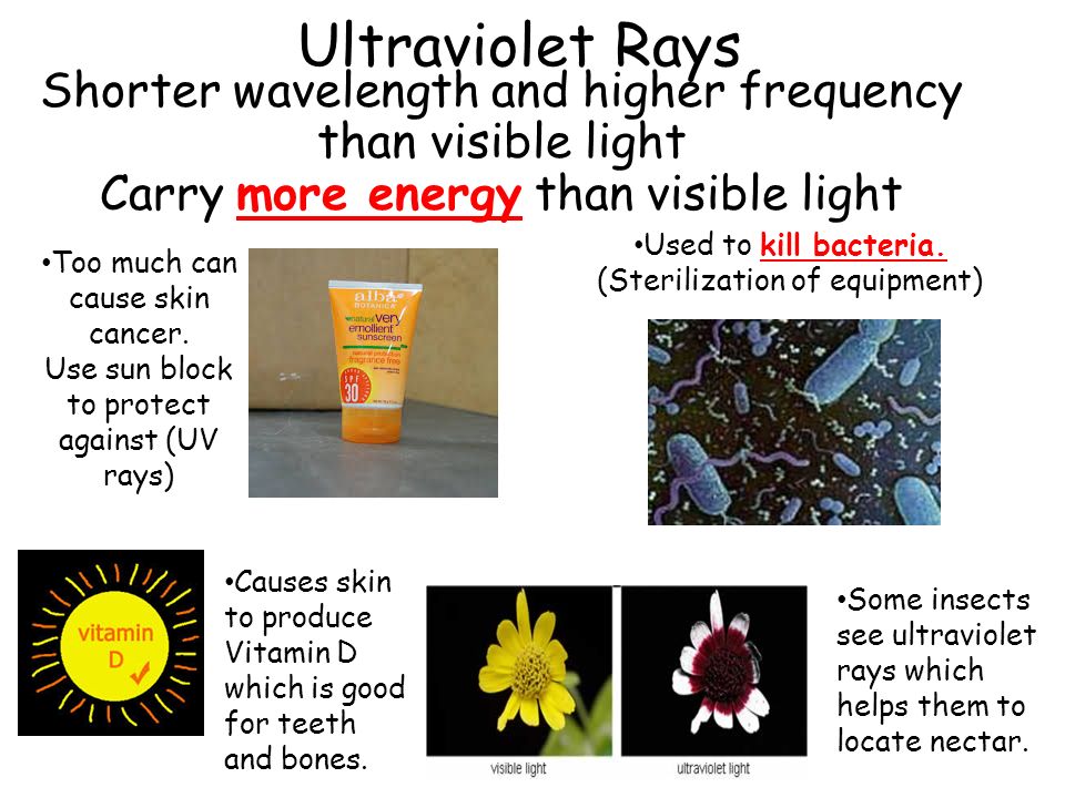 Ultraviolet Rays Shorter wavelength and higher frequency than visible light. Carry more energy than visible light.