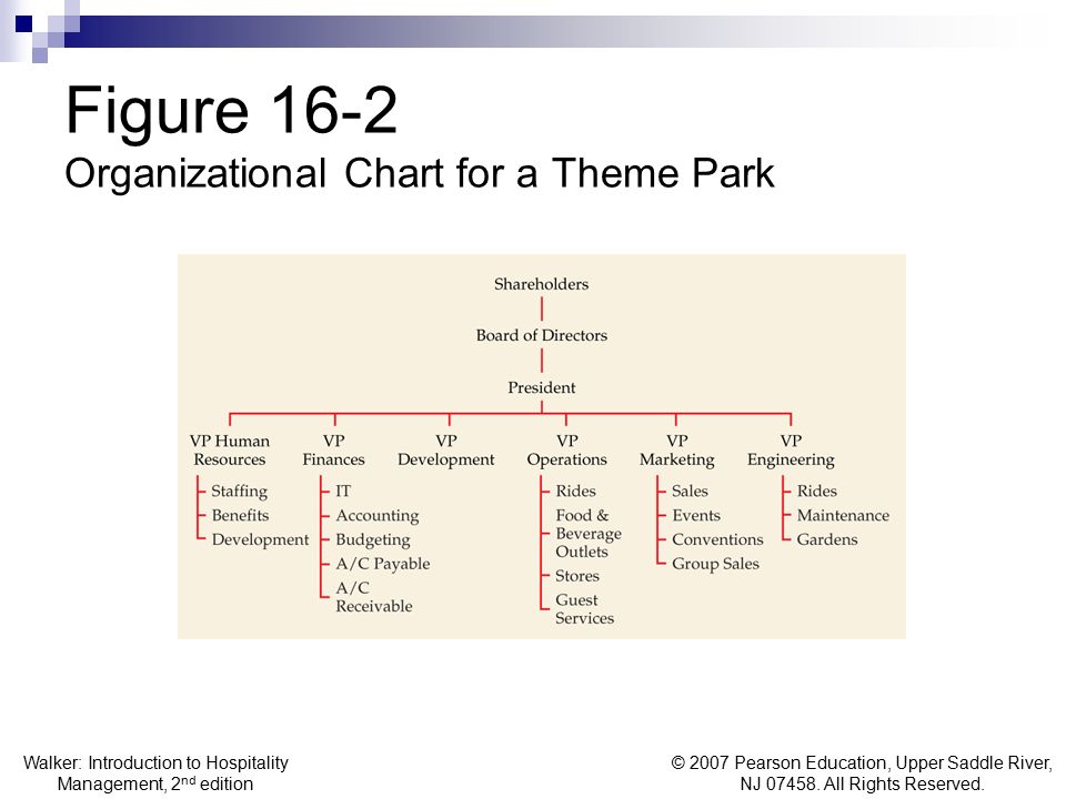 Theme Park Organizational Chart