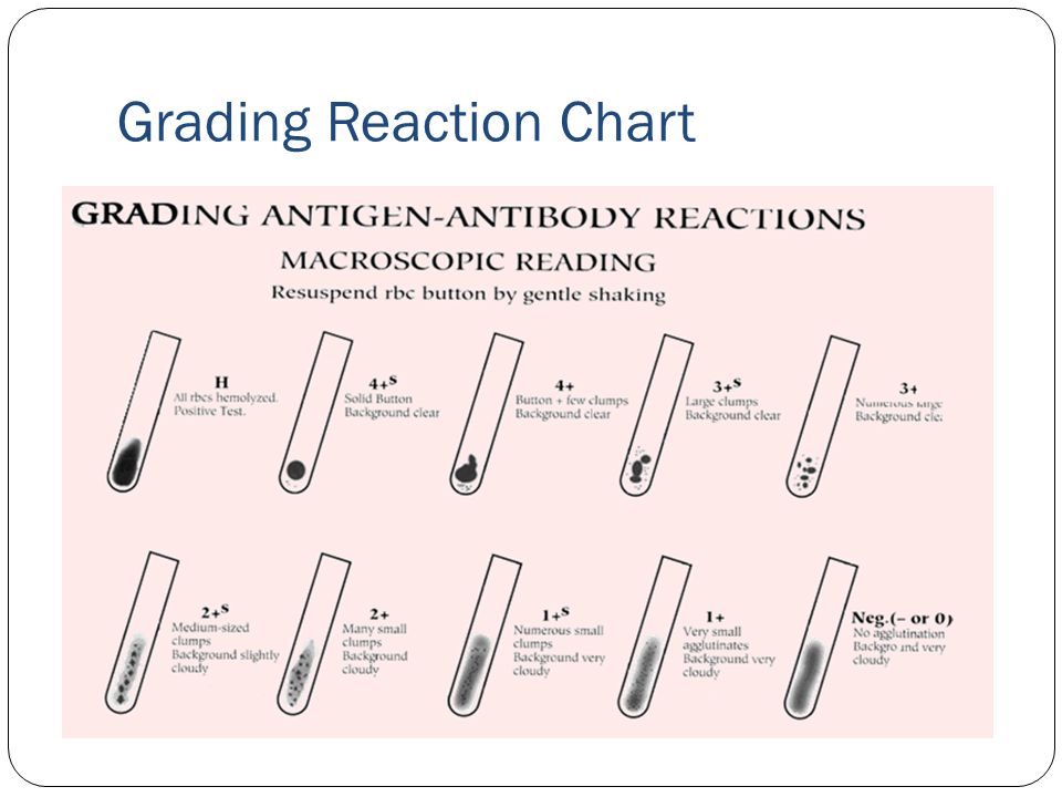 Agglutination Grading Chart