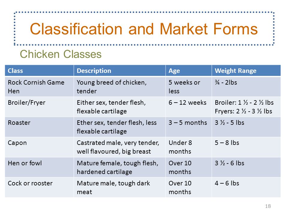 Chicken Classification Chart