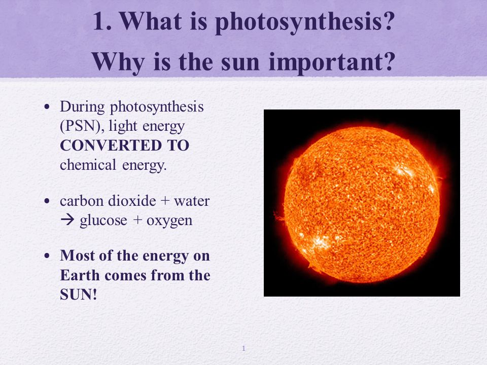 why is light important for photosynthesis
