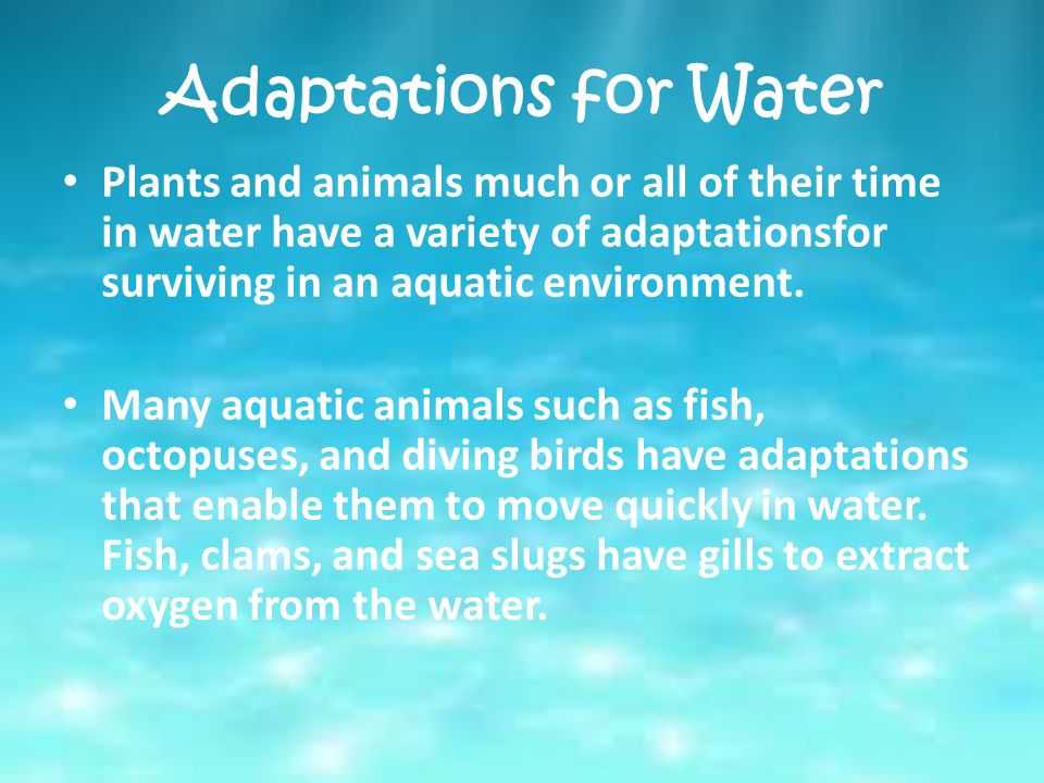 Lesson 2. What are some Adaptations for Living in Water and on Land? - ppt  video online download