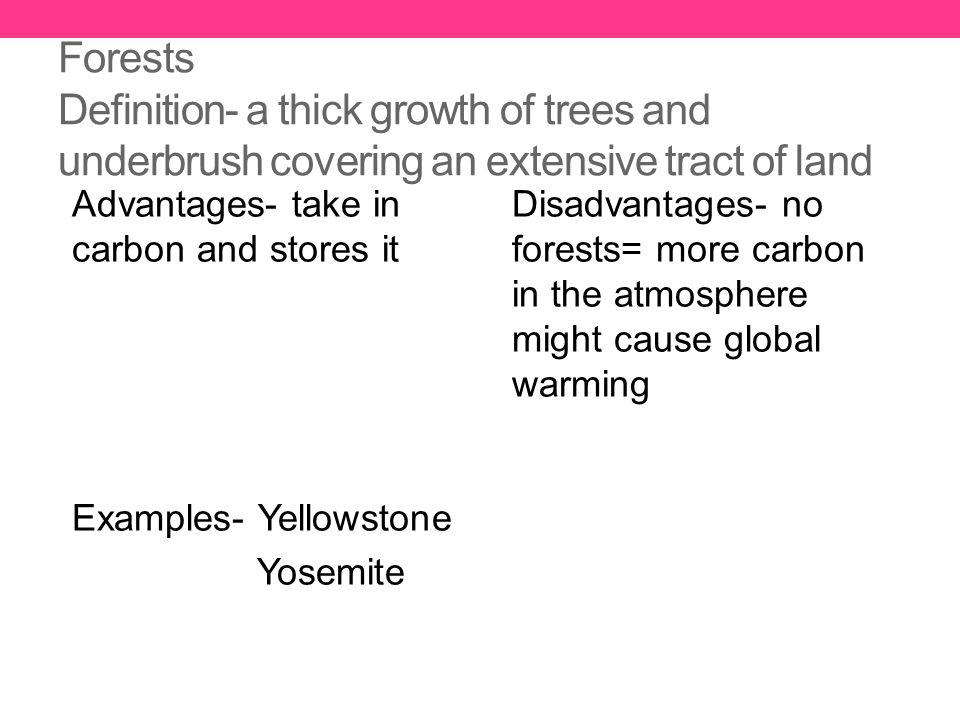 Forests Definition- a thick growth of trees and underbrush covering an extensive tract of land