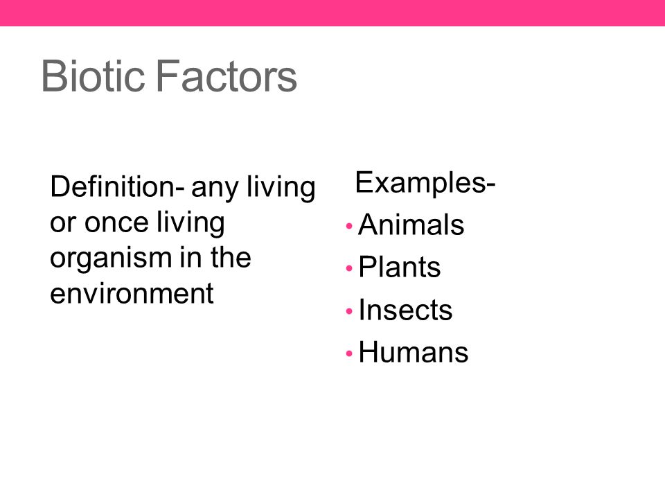 Biotic Factors Examples-