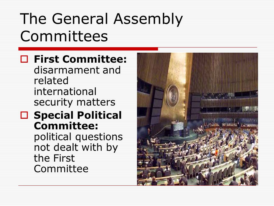The General Assembly Committees