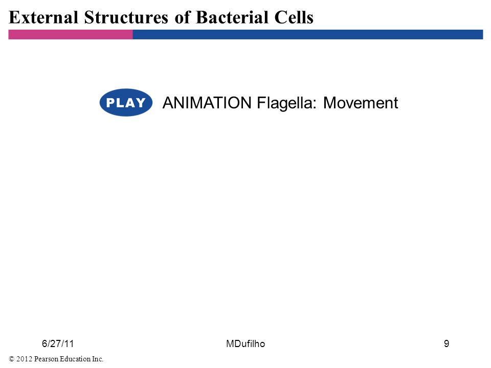 Cell Structure and Function - ppt video online download