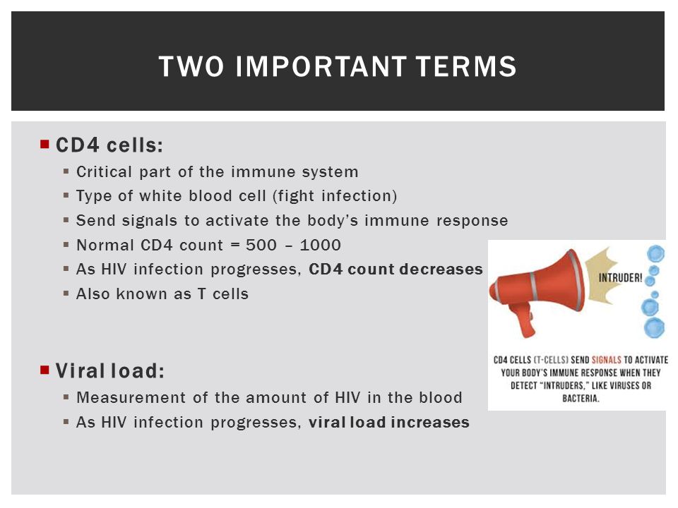 Medical Nutrition Therapy In The Patient With Hiv Aids A
