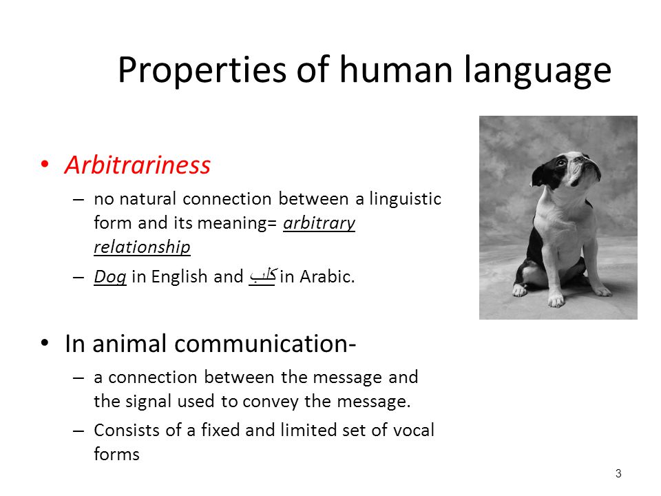 Animals and Human Language - Mind Map