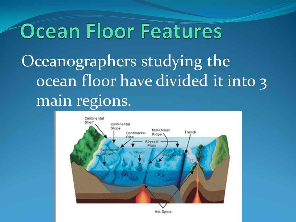 The Ocean Floor Oceanography Ppt Video Online Download