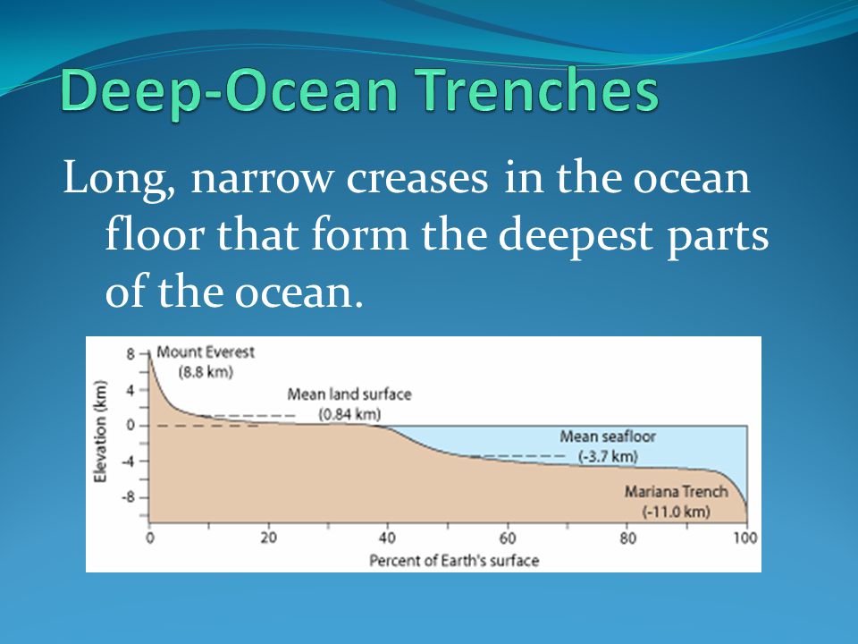 The Ocean Floor Oceanography Ppt Video Online Download