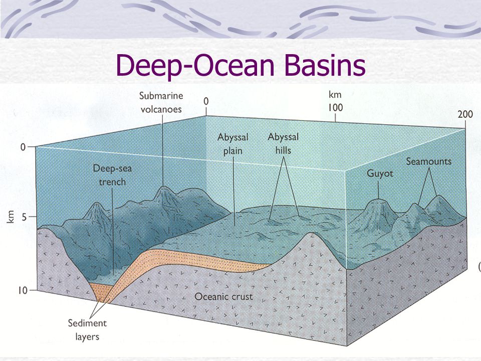 Topography of the ocean floor - ppt video online download