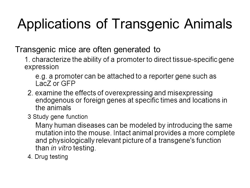 Transgenic animals and knockout animals - ppt download
