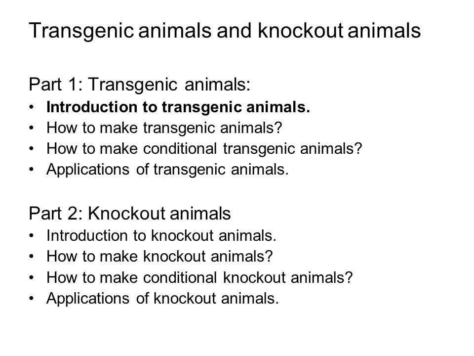 Transgenic Animals And Knockout Animals Ppt Download Transgenic Animals And Knockout Animals Ppt Download