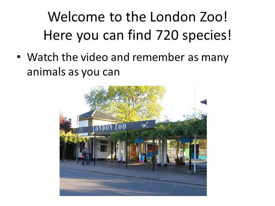 Welcome to the London Zoo! Here you can find 720 species!
