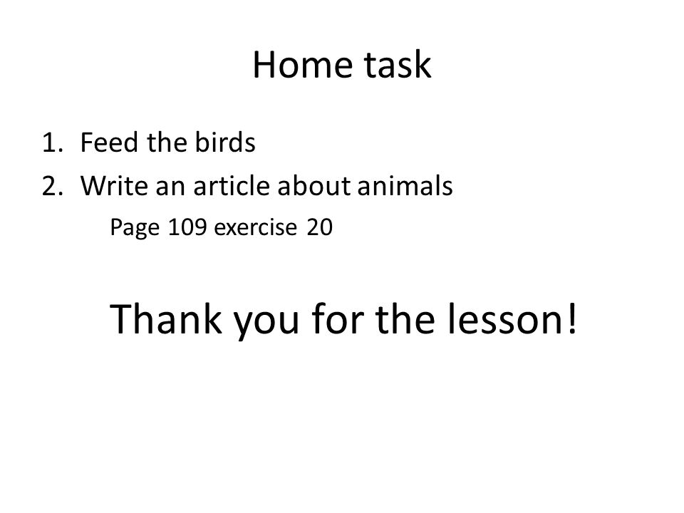 Home task Feed the birds Write an article about animals