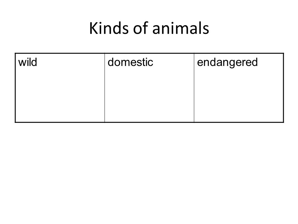 Kinds of animals wild domestic endangered